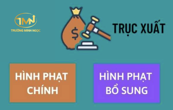 Người có quốc tịch nước ngoài sử dụng ma túy có bị trục xuất khỏi lãnh thổ Việt Nam không? (Ảnh minh hoạ))