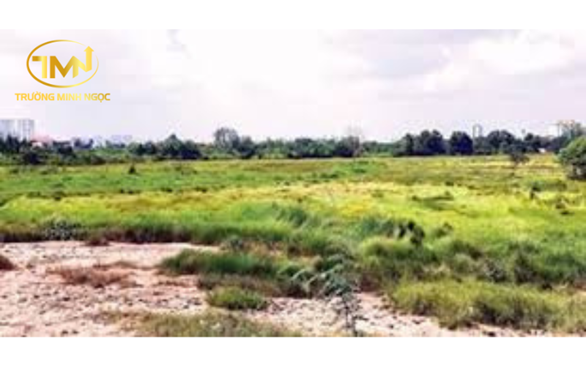 Sử dụng đất khai hoang có bị thu hồi không?