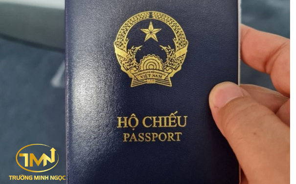 Người Mỹ gốc Việt là gì?