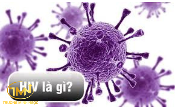 HIV là gì?