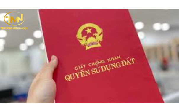 Con có quốc tịch nước ngoài có quyền thừa kế đất khi mẹ qua đời không?