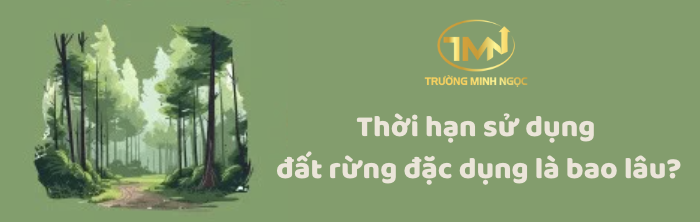 Thời hạn sử dụng đất rừng đặc dụng (Ảnh minh hoạ)