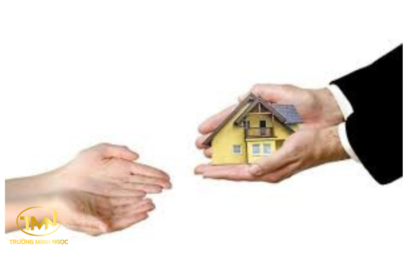 Đất không có sổ đỏ có được chia thừa kế không?
