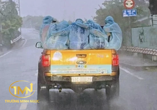 Các trường hợp được chở người trên thùng xe ô tô chở hàng (Ảnh minh hoạ)