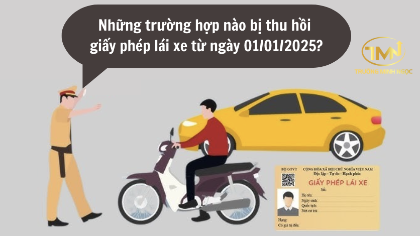 Những trường hợp bị thu hồi giấy phép lái xe từ ngày 01/01/2025 (Ảnh minh hoạ)