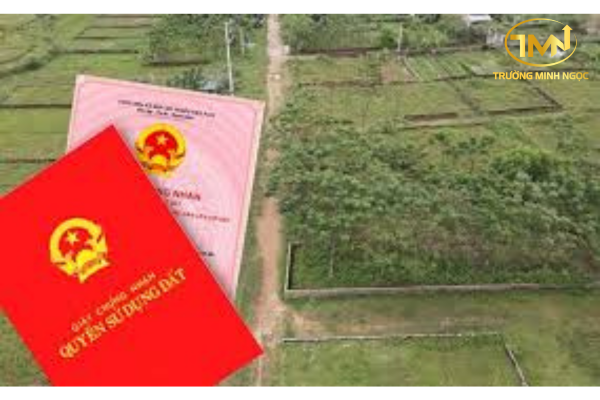 Không sinh sống có được nhận tặng cho quyền sử dụng đất ở trong khu vực rừng phòng hộ không?