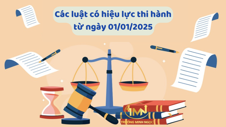 Các luật có hiệu lực thi hành từ ngày 01/01/2025 (Ảnh minh hoạ)