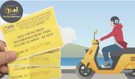 Bảo hiểm xe máy năm 2025 bao nhiêu tiền? (Ảnh minh hoạ)