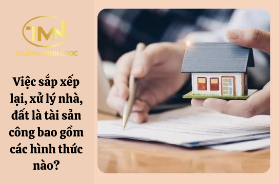 Việc sắp xếp lại, xử lý nhà, đất là tài sản công bao gồm các hình thức nào? (Ảnh minh hoạ)