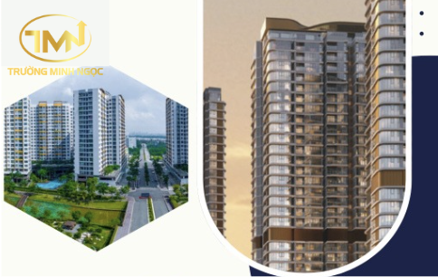 Quy định về đăng ký hoạt động sàn giao dịch bất động sản? (Ảnh minh hoạ)