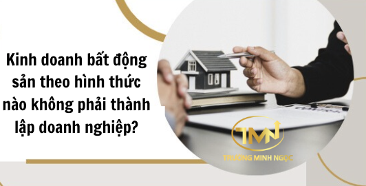 Kinh doanh bất động sản theo hình thức nào không phải thành lập doanh nghiệp? (Ảnh minh hoạ)