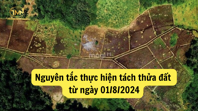 Các nguyên tắc cần tuân thủ khi thực hiện tách thửa đất từ ngày 01/8/2024 (Ảnh minh hoạ)