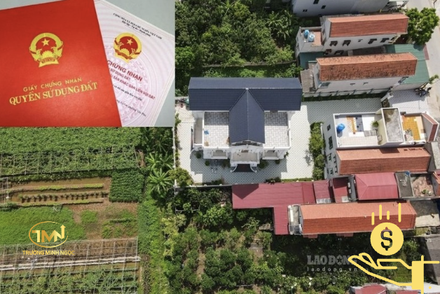 Các loại phí cần nộp khi thực hiện tách thửa (Ảnh minh hoạ)