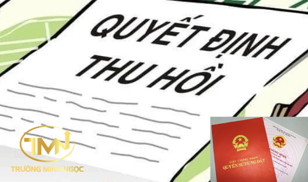Đã có quyết định thu hồi đất thì có được cấp sổ đỏ không? (Ảnh minh hoạ)