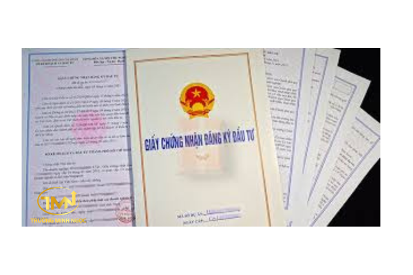 Thủ tục đổi sang Giấy chứng nhận đăng ký đầu tư như thế nào?