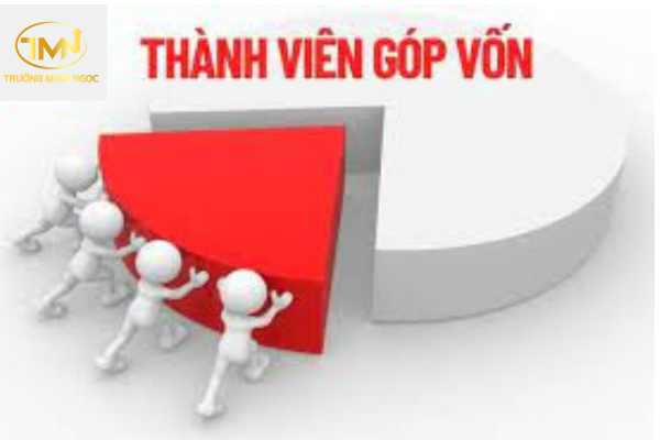 Thành viên góp vốn có những quyền gì trong công ty hợp danh?