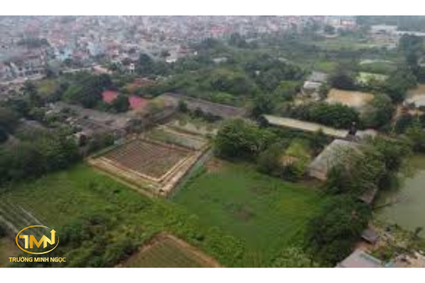 Trúng đấu giá đất rồi bỏ cọc có bị xử phạt không?