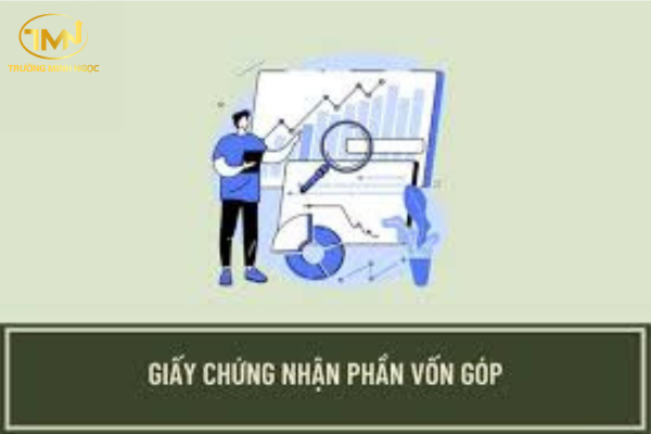 Công ty cổ phần có cấp giấy chứng nhận góp vốn cho cổ đông không?