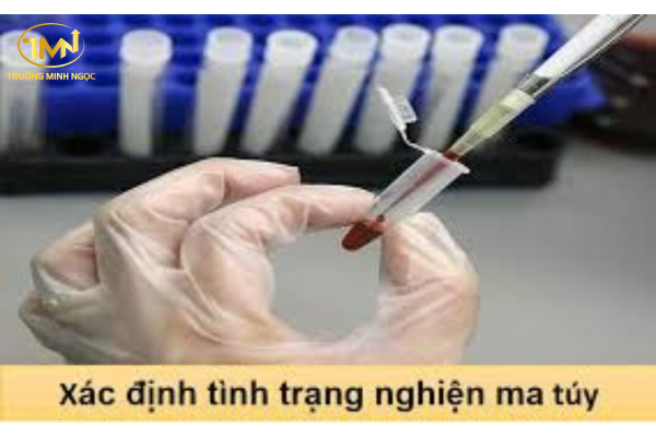 Hồ sơ, trình tự, thủ tục xác định tình trạng nghiện ma túy như thế nào?