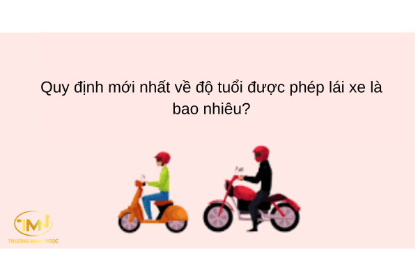Quy định mới nhất về độ tuổi được phép lái xe là bao nhiêu?