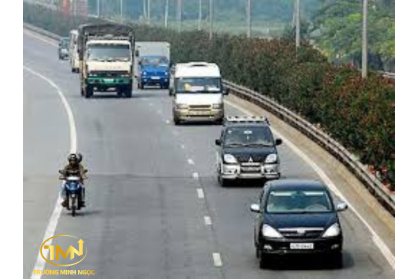 Được điều khiển, dẫn dắt vật nuôi vào làn đường dành cho xe cơ giới không?