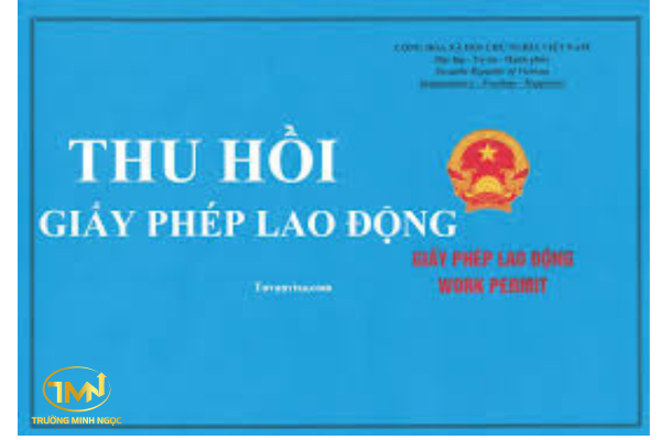 Người lao động nước ngoài gây ảnh hưởng tới an ninh trật tự, an toàn xã hội trong thời gian làm việc tại Việt Nam có bị thu hồi giấy phép lao động không?