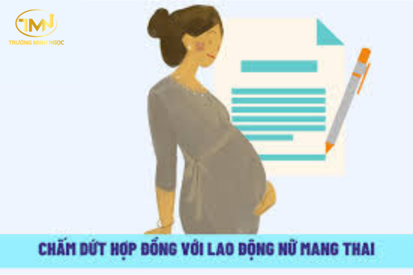 Có được đơn phương chấm dứt hợp đồng lao động với lao động nữ mang thai hay không?