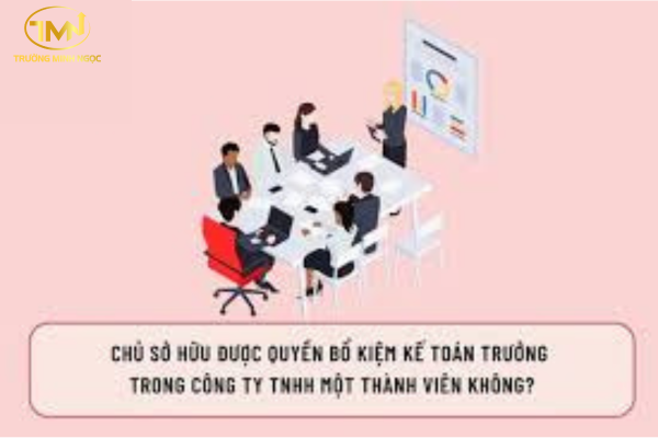 Chủ sở hữu được quyền bổ kiệm Kế toán trưởng trong công ty TNHH một thành viên không?