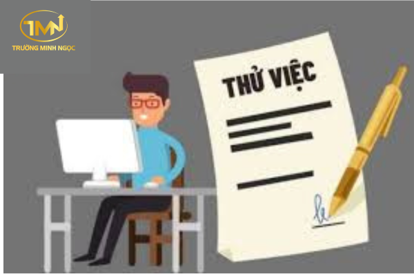 Có bắt buộc người lao động phải ký hợp đồng thử việc hay không?
