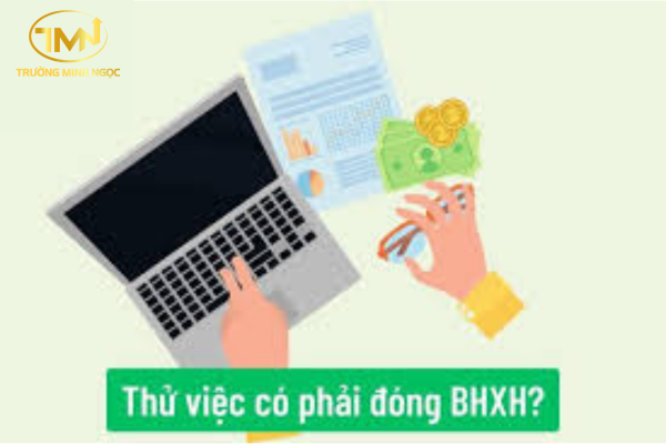 Ký hợp đồng thử việc có được tham gia bảo hiểm xã hội bắt buộc hay không?