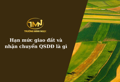 Hạn mức giao đất và nhận chuyển quyền sử dụng đất (Ảnh minh họa)