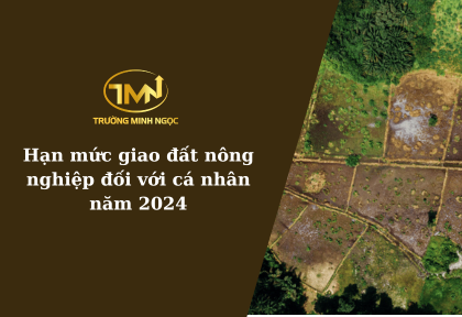 Hạn mức giao đất nông nghiệp đối với cá nhân (Ảnh mình họa)