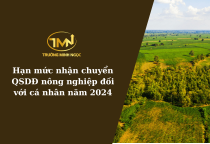 Hạn mức nhận chuyển quyền sử dụng đất nông nghiệp đối với cá nhân năm 2024 (Ảnh minh họa)